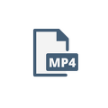 WhatsApp Video 2023-02-10 at 10.20.53